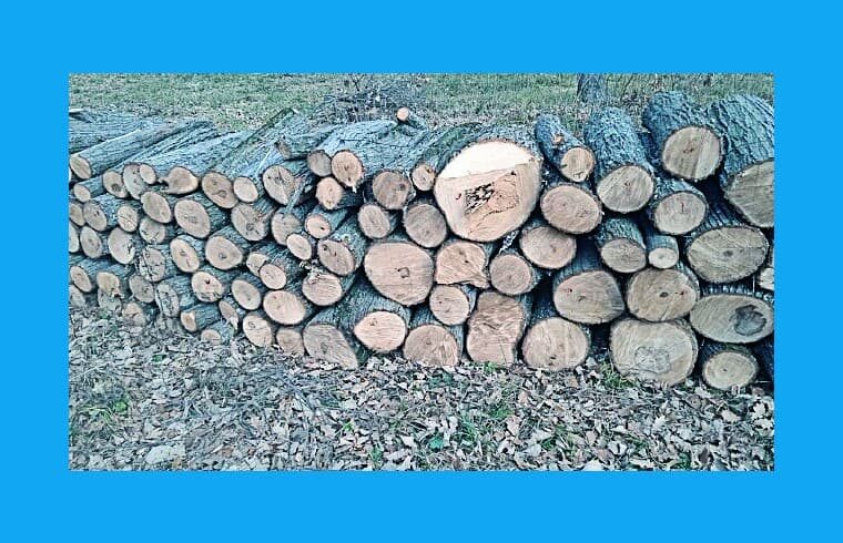 Listele privind lemnele de foc pentru consumători casnici, au provocat haos în primării